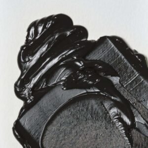 OL W&N(676)37(PARDO VAN DYCK)