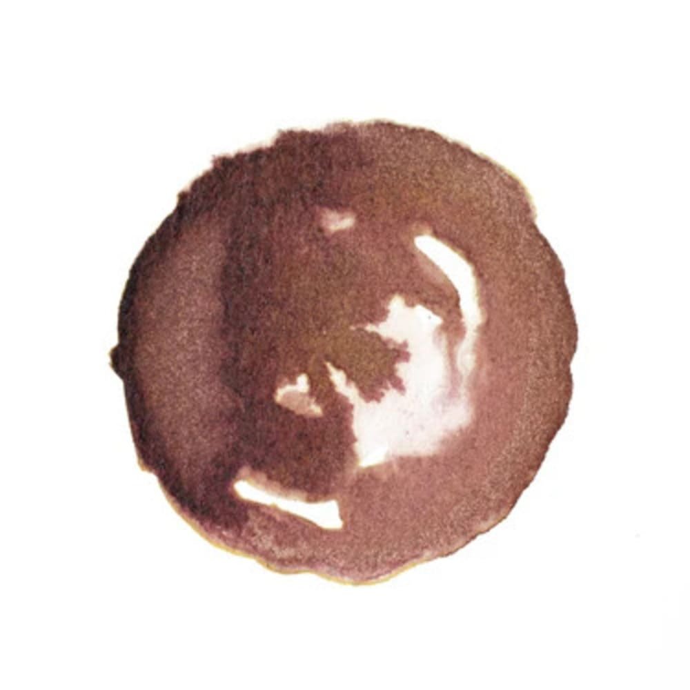 Tinta de dibujo Winsor x14ml Marron Pardo - Imagen 3