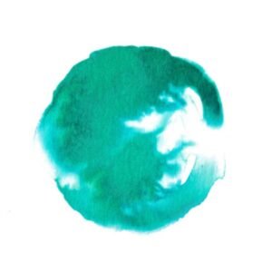 Tinta de dibujo Winsor x14ml Verde Veronese