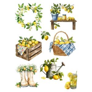 LAMINA TERMOT(028) A5 LIMONES